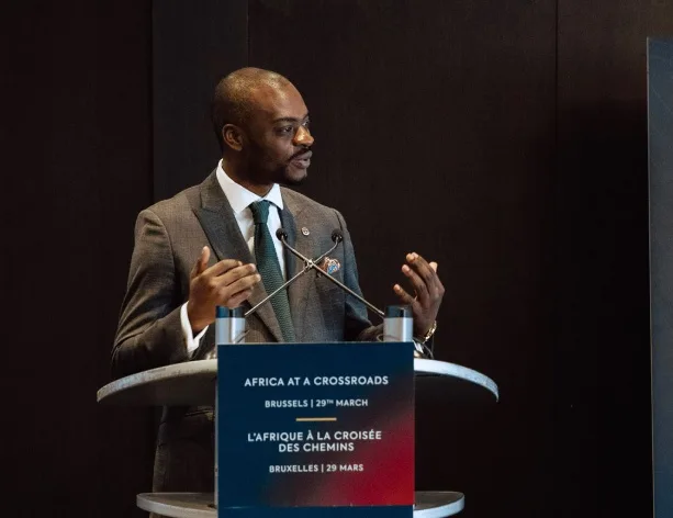 Africa Political Outlook 2024