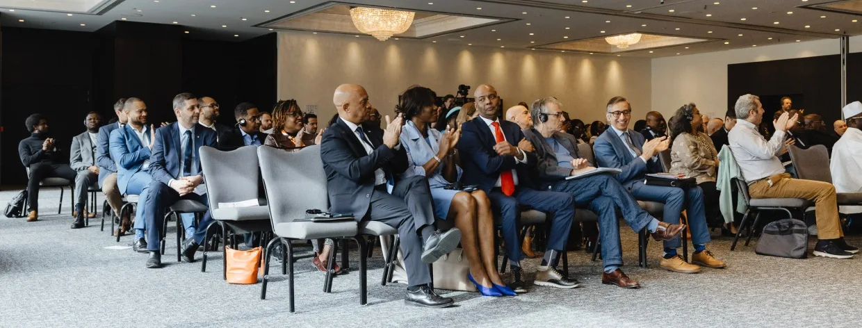 Africa Political Outlook 2024