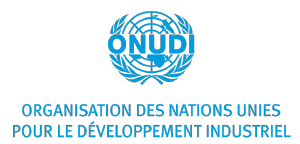 Logo ONUDI