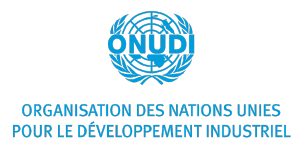 Logo ONUDI