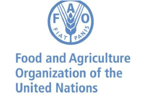 Logo FAO